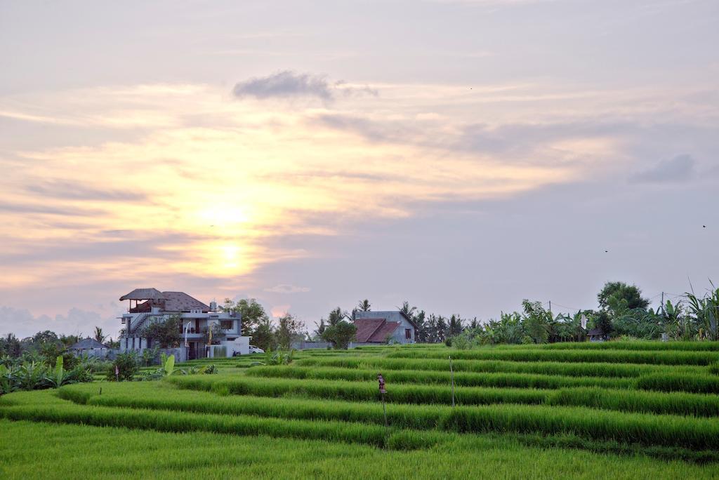 Villa Paddy View