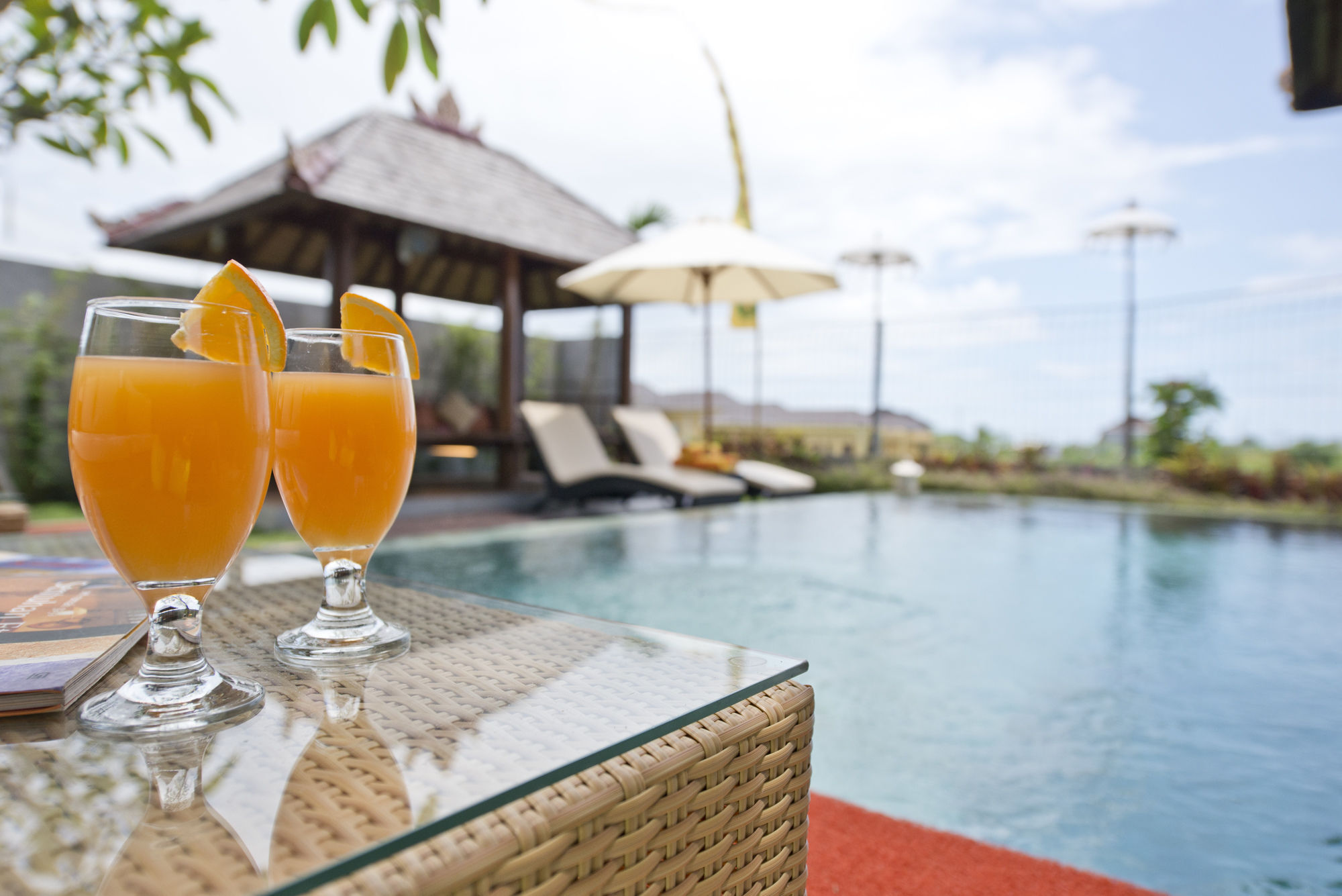 Paddy View Villa *